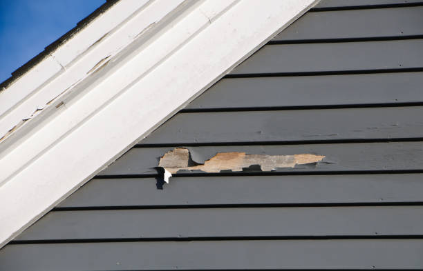 Best Same-Day Junk Removal Services  in Moreauville, LA